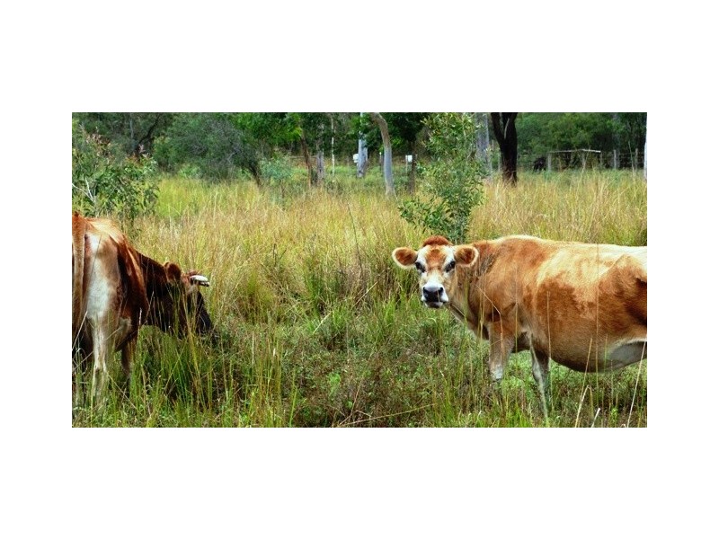 503  Coowonga Rd, Coowonga QLD 4702