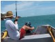 Koumala QLD 4738