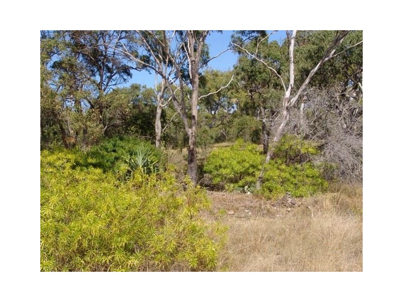 0   Island Esplanade Quion Island, Gladstone QLD 4680