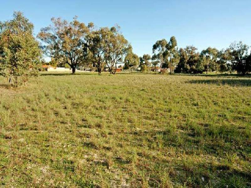 16 Jacaranda Drive, North Yunderup WA 6208