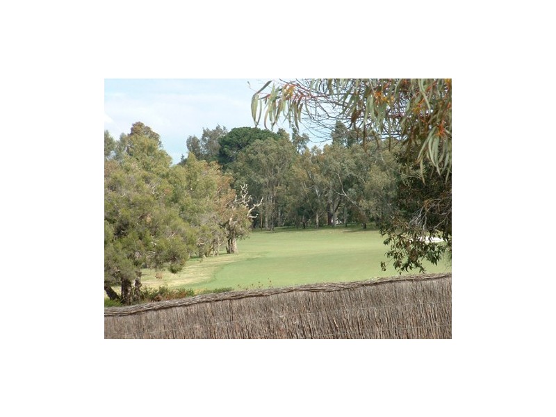 18  Homer Street, Dianella WA 6059