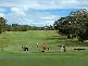 Lot 150  Walpole Way, Gosnells WA 6110