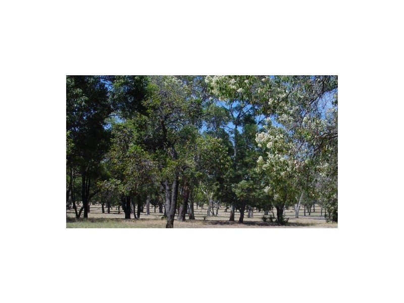 Lot 1  Cnr Logue St & Recreation Road, Waroona WA 6215