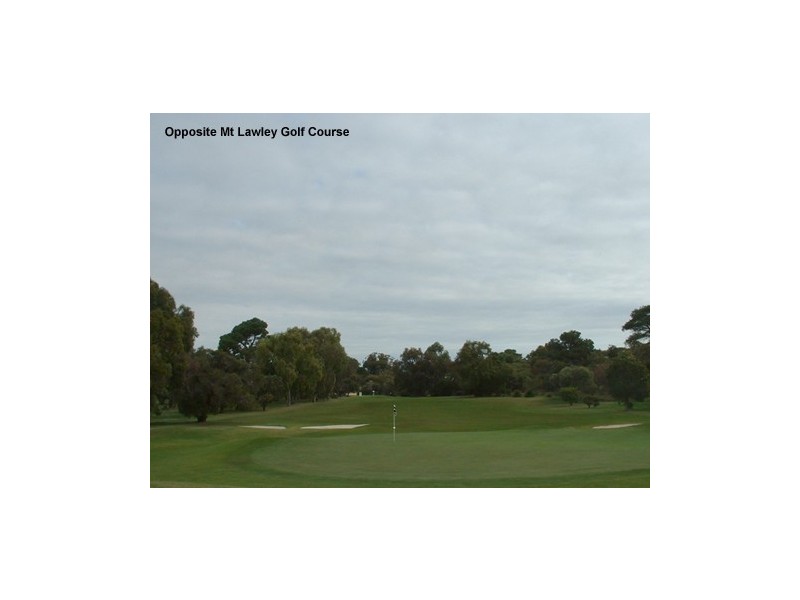 18  Homer Street, Dianella WA 6059