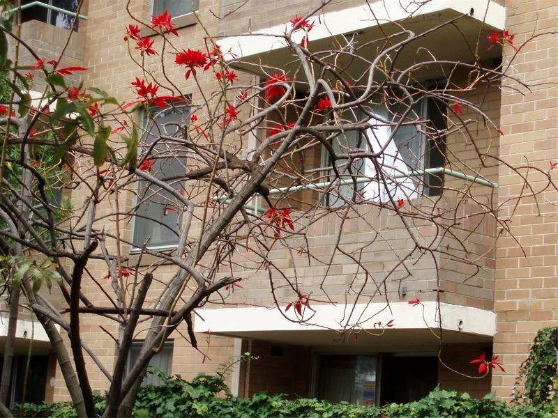 Level 1 13/281  Cambridge Street, Wembley WA 6014