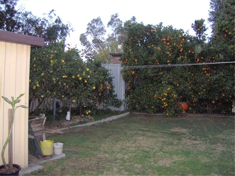 17  Higham Hill, Swan View WA 6056
