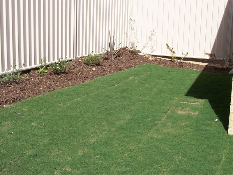 31  Ticklie Road, Seville Grove WA 6112