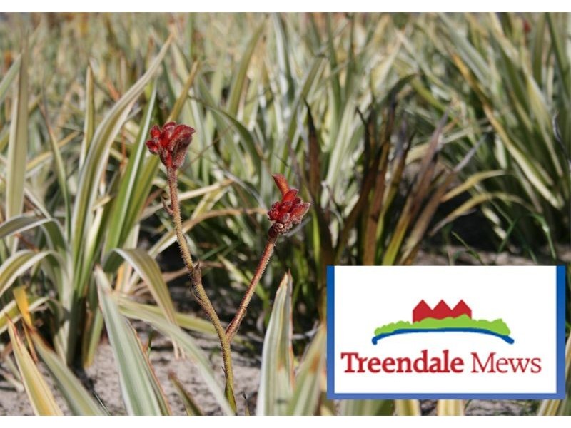 96 The Boulevard, Australind WA 6233