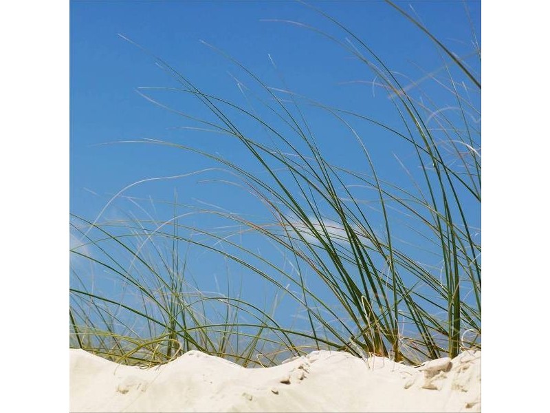 9  Plaimar Ramble, Byford WA 6122