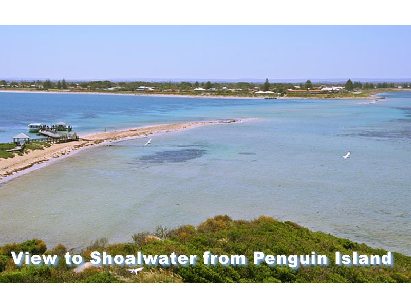 15 Carlisle Street Shoalwater, Rockingham WA 6168