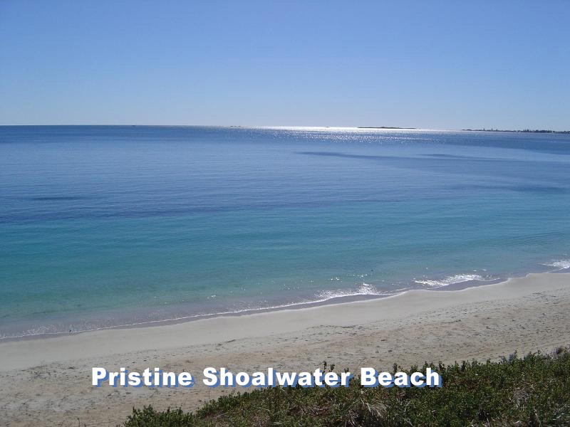 15 Carlisle Street Shoalwater, Rockingham WA 6168