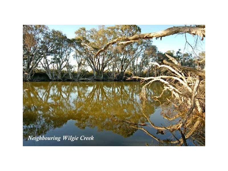 16 Jacaranda Drive, North Yunderup WA 6208