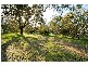 16 Jacaranda Drive, North Yunderup WA 6208