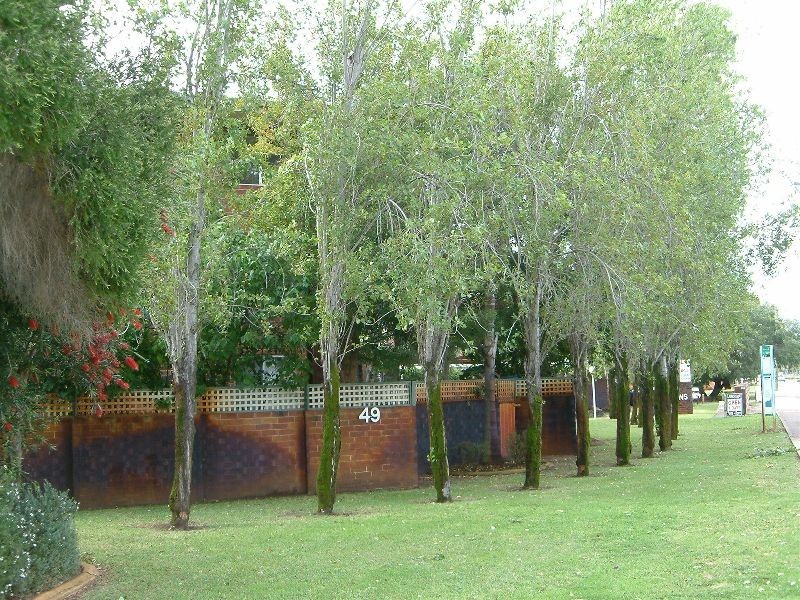 Level 1 21A / 49 Herdsman Parade, Wembley WA 6014