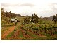 Lot 882  Byford Central, Byford WA 6122