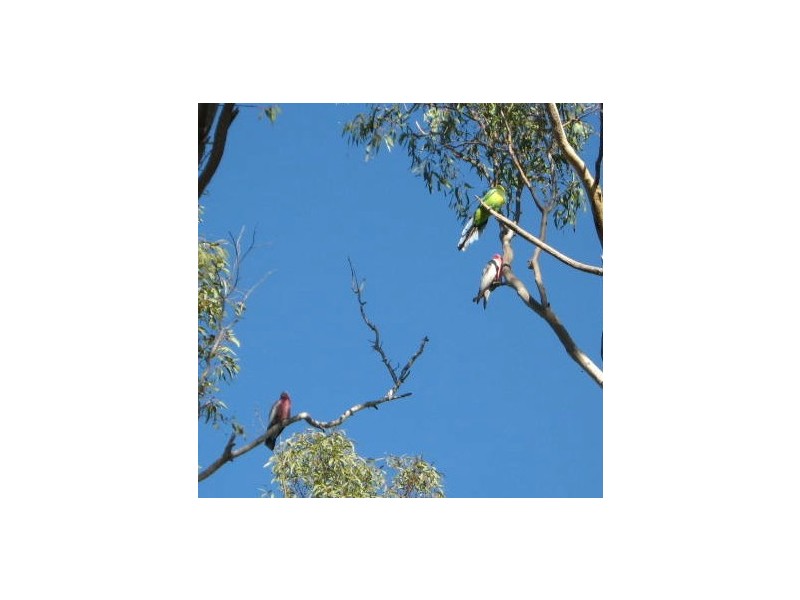 Lot 89/33  Bernley Drive, Viveash WA 6056