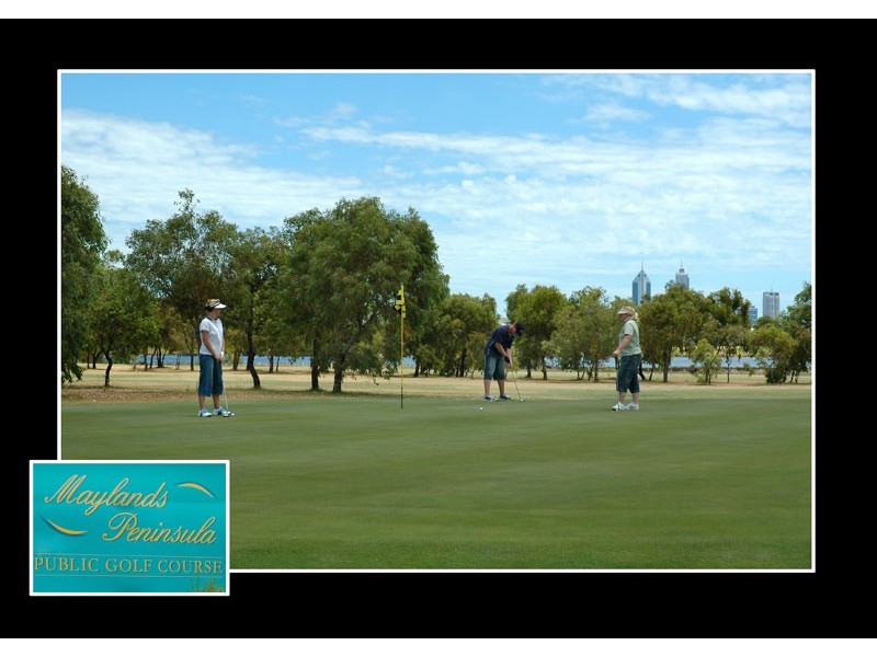 23 Cox Street, Maylands WA 6051