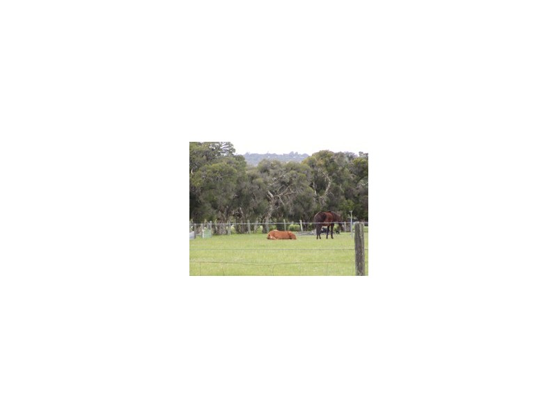 Lot 860  Anomala Avenue, Wattle Grove WA 6107
