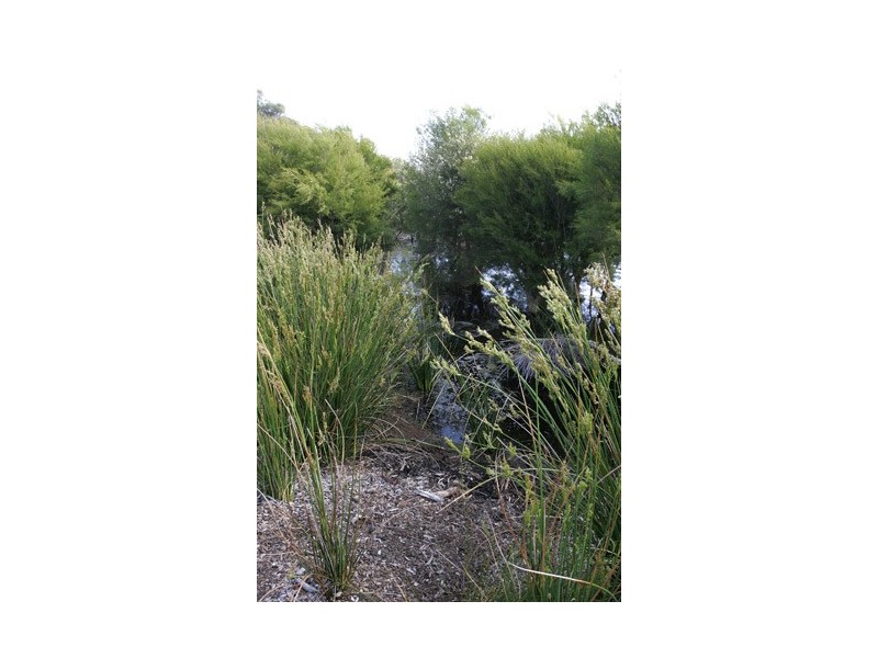 Lot 325  Hampton Road, Darch WA 6065