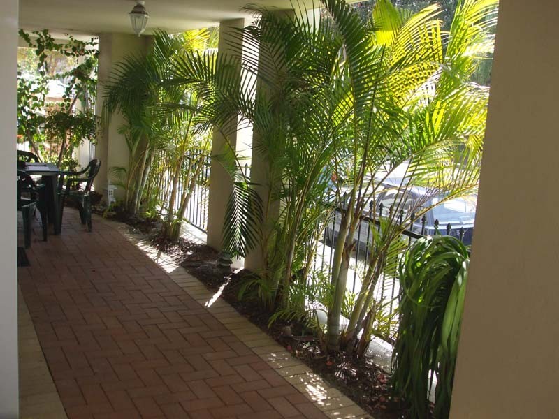 2/123  Wellington Street, East Perth WA 6004