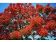 Lot 3  Pingle Drive, Greenfields WA 6210