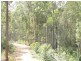 172 San Fernando Drive, Worongary QLD 4213