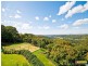 537-545 Trees Road, Tallebudgera Valley QLD 4228