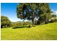 647 Trees road, Tallebudgera Valley QLD 4228
