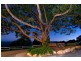 647 Trees road, Tallebudgera Valley QLD 4228