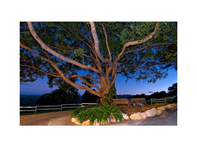 647 Trees road, Tallebudgera Valley QLD 4228