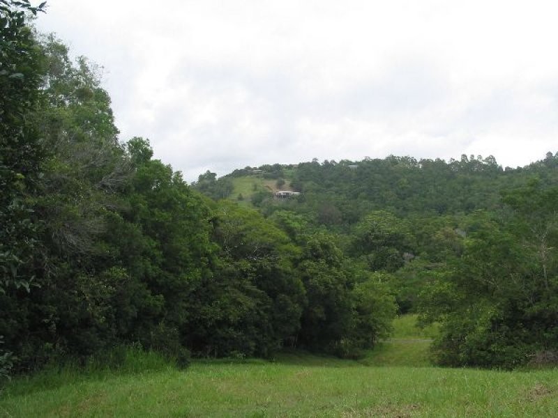 Eumundi QLD 4562
