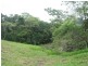 Eumundi QLD 4562