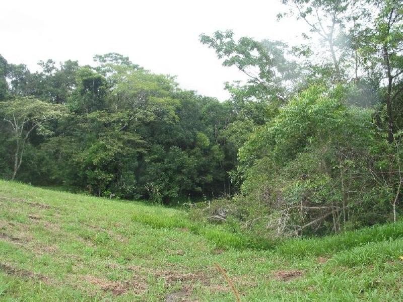 Eumundi QLD 4562