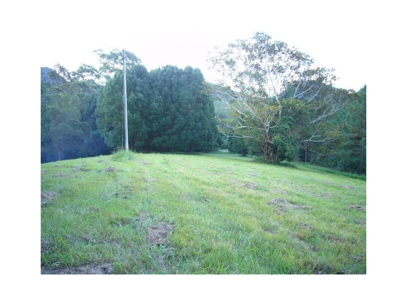 Tallebudgera Valley QLD 4228