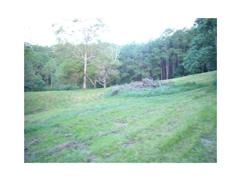 Tallebudgera Valley QLD 4228