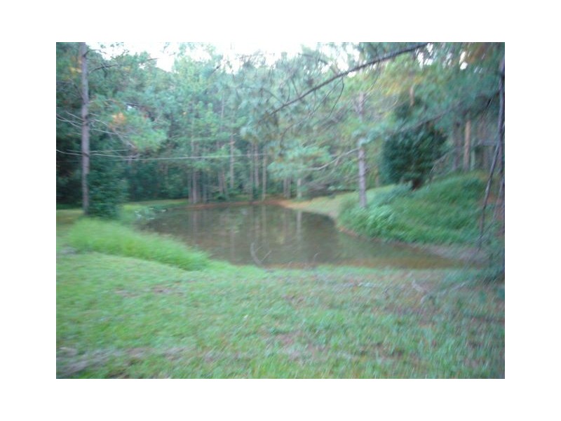 Tallebudgera Valley QLD 4228