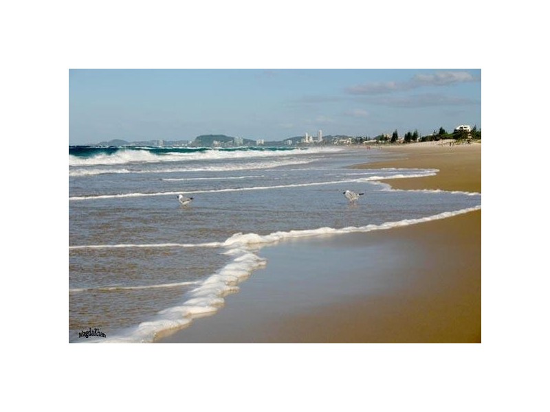 Broadbeach QLD 4218