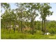 Tallebudgera Valley QLD 4228