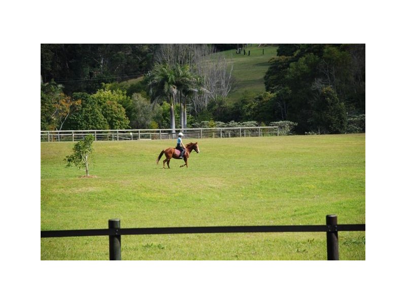 28   Rusty Court, Tallebudgera Valley QLD 4228