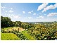 537-545 Trees Road, Tallebudgera Valley QLD 4228