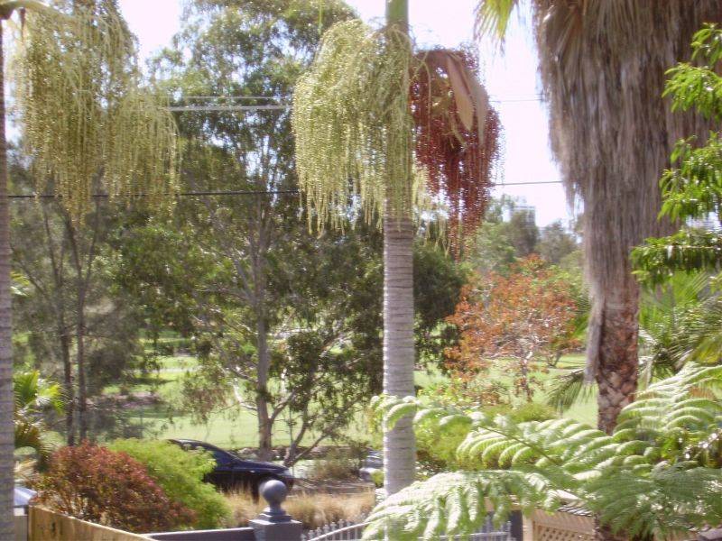 3 Richmond Avenue, Bundall QLD 4217