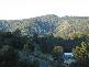 61  Waterfall Drive, Wongawallan QLD 4210
