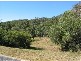 61  Waterfall Drive, Wongawallan QLD 4210