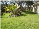 32  Pacha Court, Coomera QLD 4209