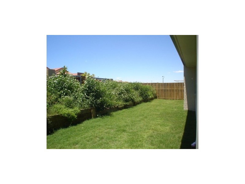 8  Starush Court, Upper Coomera QLD 4209