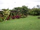 52  Riverdowns Crescent, Helensvale QLD 4212