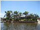 20  Dirk Hartog Place, Hollywell QLD 4216