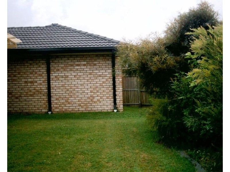 3  Carallia Street, Ormeau QLD 4208