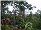 77  HIGHVALE DR, Helensvale QLD 4212