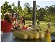 5  Picnic Creek Drive, Coomera QLD 4209